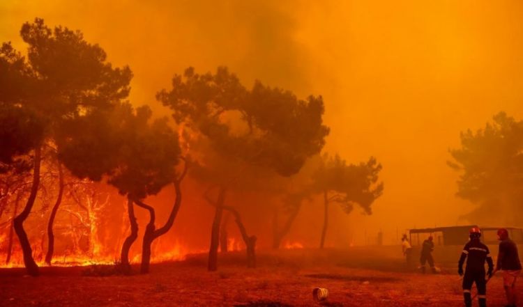 Πυρκαγιές: Στο έλεος της φωτιάς τα Βατερά στη Λέσβο και η Δαδιά στον Έβρο Πυρκαγιές: Στο έλεος της φωτιάς τα Βατερά στη Λέσβο και η Δαδιά στον Έβρο