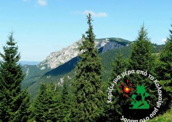 Τα δάση θα συνεχίζουν να καίγονται αν δεν τα προστατέψουμε! – Χαρίζω μια μέρα από το Καλοκαίρι μου στο Δάσος