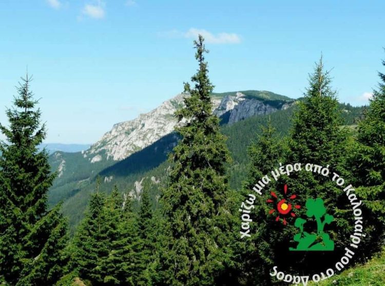 Τα δάση θα συνεχίζουν να καίγονται αν δεν τα προστατέψουμε! – Χαρίζω μια μέρα από το Καλοκαίρι μου στο Δάσος