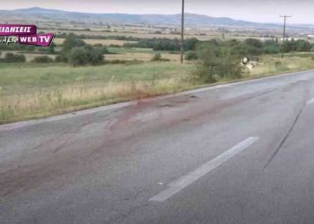 Τραγωδία στο Κιλκίς: Αγριογούρουνα προκάλεσαν τροχαίο με δύο νεκρούς και τέσσερις τραυματίες