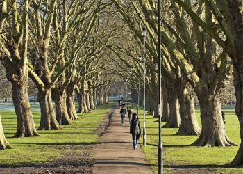 Cambridge: Πέντε θάνατοι φοιτητών σε τέσσερις μήνες – Τι ερευνούν οι Αρχές