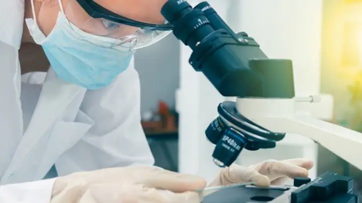 O θάνατος ενός είδους… O θάνατος ενός είδους…