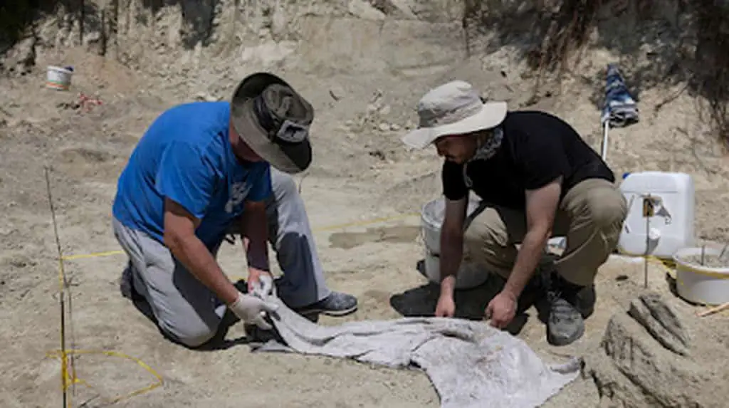 Ανακαλύπτοντας τη Ζωή που Υπήρχε Πριν από Εκατομμύρια Χρόνια στα Χωριά της Μακεδονίας (vice.com) Ανακαλύπτοντας τη Ζωή που Υπήρχε Πριν από Εκατομμύρια Χρόνια στα Χωριά της Μακεδονίας (vice.com)