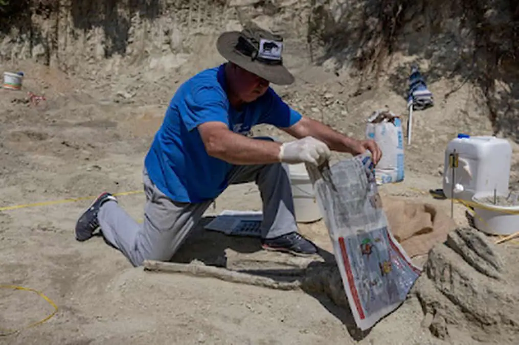 Ανακαλύπτοντας τη Ζωή που Υπήρχε Πριν από Εκατομμύρια Χρόνια στα Χωριά της Μακεδονίας (vice.com) Ανακαλύπτοντας τη Ζωή που Υπήρχε Πριν από Εκατομμύρια Χρόνια στα Χωριά της Μακεδονίας (vice.com)
