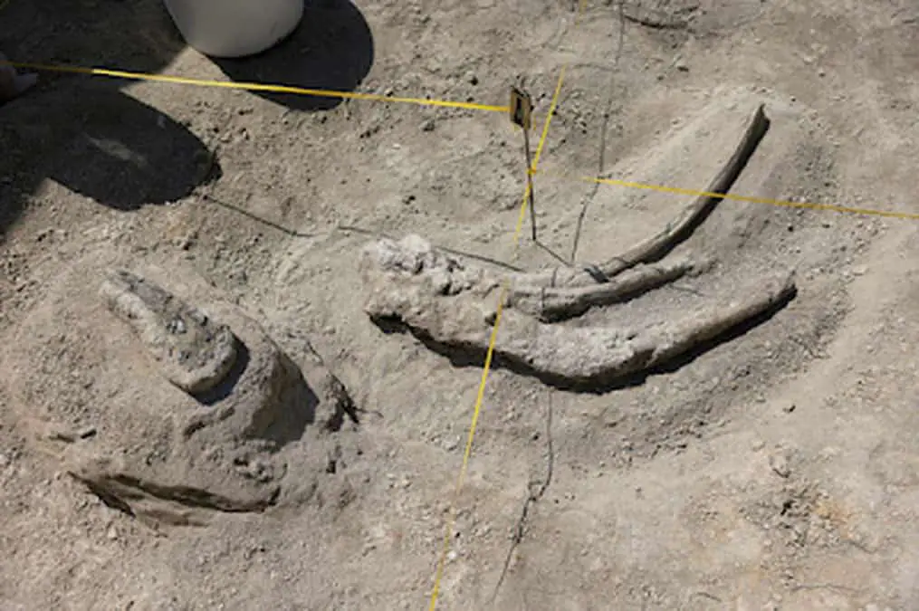 Ανακαλύπτοντας τη Ζωή που Υπήρχε Πριν από Εκατομμύρια Χρόνια στα Χωριά της Μακεδονίας (vice.com) Ανακαλύπτοντας τη Ζωή που Υπήρχε Πριν από Εκατομμύρια Χρόνια στα Χωριά της Μακεδονίας (vice.com)