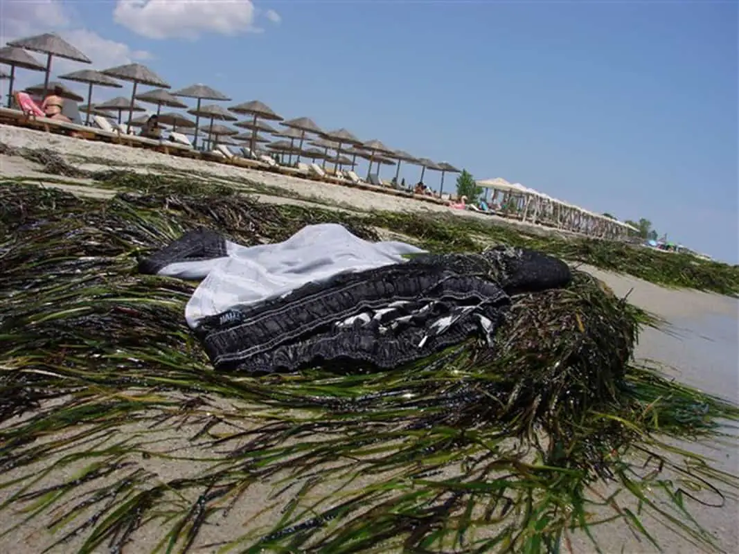 Στην Κατερίνη ψάχνουν τον Μάρτιν που χάθηκε στη Χαλκιδική Αυτόματο προσχέδιο