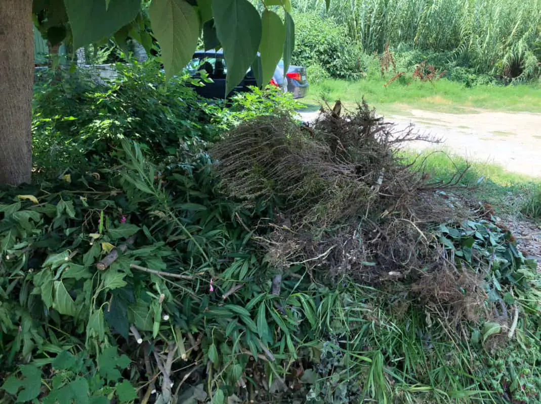 Επιτέλους πρόστιμα Επιτέλους πρόστιμα