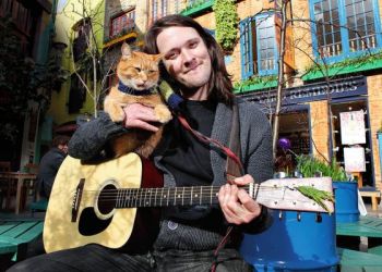 Ο άστεγος τοξικομανής και ο γάτος που του άλλαξε τη ζωή – «Καθάρισε» και έγινε συγγραφέας