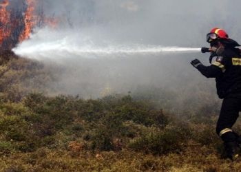 Πιερία: Πρόστιμο για πυρκαγιά εντός οικοπέδου στο Λιτόχωρο