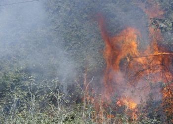Πυρκαγιές Στον Αλβανικό Νότο – Απειλούν Ελληνικά Μειονοτικά Χωριά