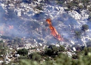 Έσβησε η φωτιά στον εθνικό δρυμό της Βάλια Κάλντα που σιγόκαιγε για 16 ημέρες