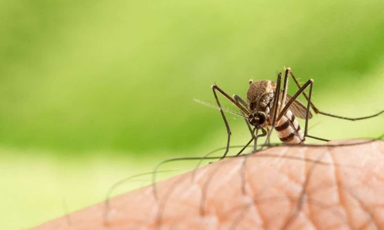 Αιγίνιο τότε…. και σήμερα, περίοδος 1994–2000. Αιγίνιο τότε…. και σήμερα