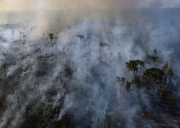 Αμαζόνιος: Αποψίλωση – ρεκόρ το 2022 – Καταστράφηκαν 5.474 στρέμματα δάσους σε επτά μήνες