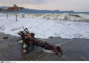 Αυτόματο προσχέδιο