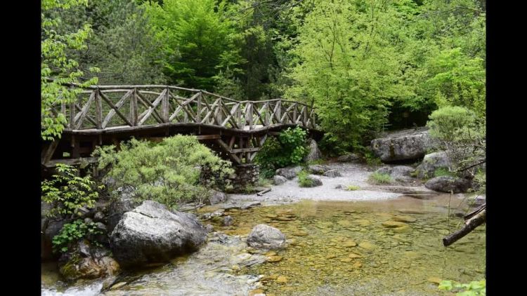 Ημερήσιες εκδρομές με βάση την Κατερίνη - Πριόνια και Μοναστήρι Αγίου Διονυσίου στον Όλυμπο Ημερήσιες εκδρομές με βάση την Κατερίνη – Πριόνια και μονή Διονυσίου στον Όλυμπο