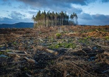 Η κλιματική αλλαγή επιδεινώνει πάνω από τις μισές μεταδοτικές ασθένειες στη Γη