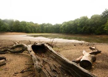 Η ξηρασία είναι η νέα κρίση στην Ευρώπη που απειλεί την οικονομία της Ευρωζώνης