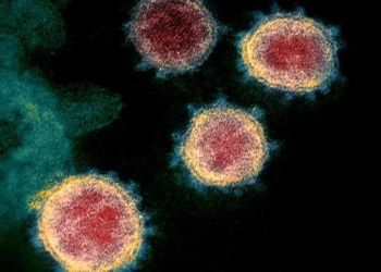 «Κένταυρος»: Τι γνωρίζουμε για τη νέα παραλλαγή του κορωνοϊού – Καθηγητές του ΕΚΠΑ εξηγούν