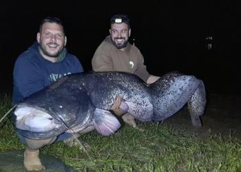Λίμνη Πλαστήρα: Ψαράδες έπιασαν γουλιανό μήκους 2,40 μέτρων