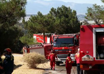 Ομάδα Κοινωνικής Εγρήγορσης: Οι λύσεις για την τραγωδία των πυρκαγιών
