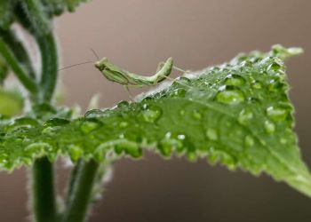 Ο Καιρός Σήμερα: Άστατος με νεφώσεις με βροχές και σποραδικές καταιγίδες