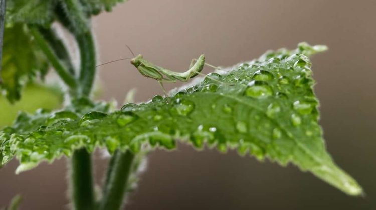 Ο Καιρός Σήμερα: Άστατος με νεφώσεις με βροχές και σποραδικές καταιγίδες Ο Καιρός Σήμερα: Άστατος με νεφώσεις με βροχές και σποραδικές καταιγίδες