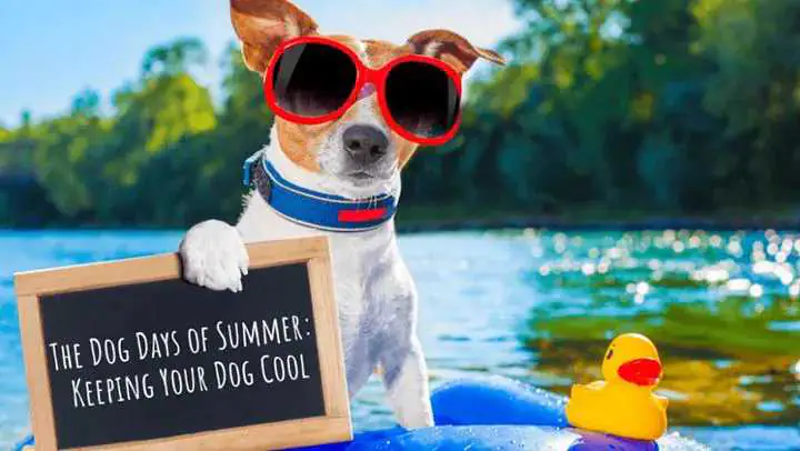 Ο Καιρός Σήμερα: Ηλιοφάνεια με υψηλές θερμοκρασίες Ο Καιρός Σήμερα: Ηλιοφάνεια με υψηλές θερμοκρασίες