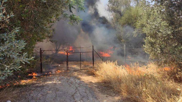 Πιερία: Πρόστιμο σε γυναίκα για φωτιά σε ξερά χόρτα σε οικόπεδο στον Πλαταμώνα