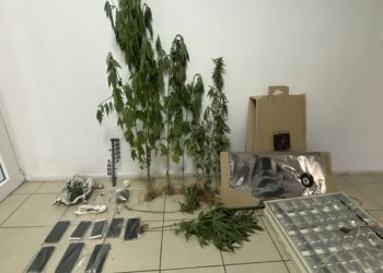 Πιερία: Σύλληψη τεσσάρων ατόμων για διακίνηση κάνναβης (ΒΙΝΤΕΟ)