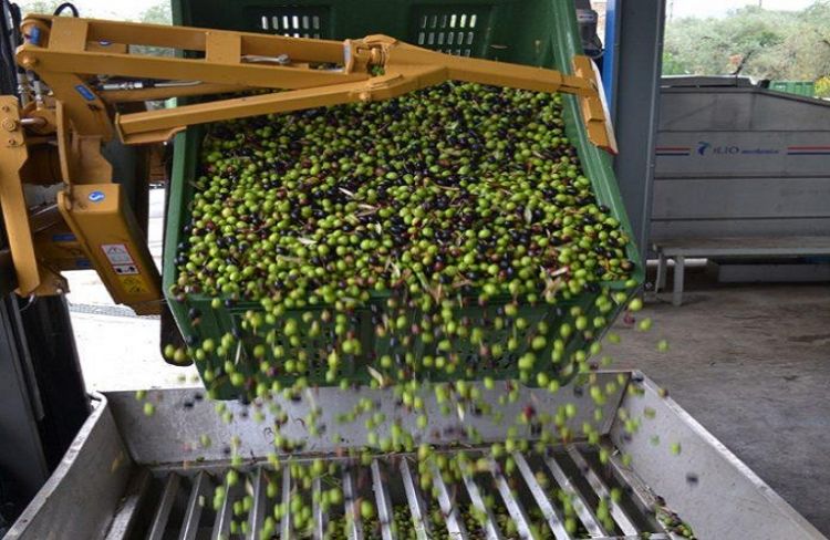 Υπουργείο Τουρισμού: Έρχονται τα επισκέψιμα Ελαιοτριβεία, Ζυθοποιεία και Τυροκομεία Υπουργείο Τουρισμού: Έρχονται τα επισκέψιμα Ελαιοτριβεία, Ζυθοποιεία και Τυροκομεία