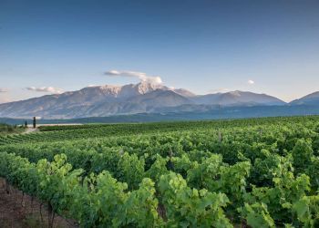 51o Φεστιβάλ Ολύμπου – Σπονδή στις Μούσες