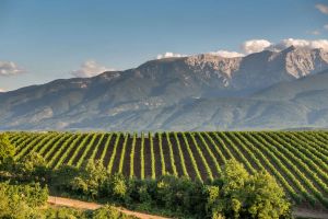 51o Φεστιβάλ Ολύμπου – Σπονδή στις Μούσες
