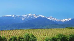 51o Φεστιβάλ Ολύμπου – Σπονδή στις Μούσες