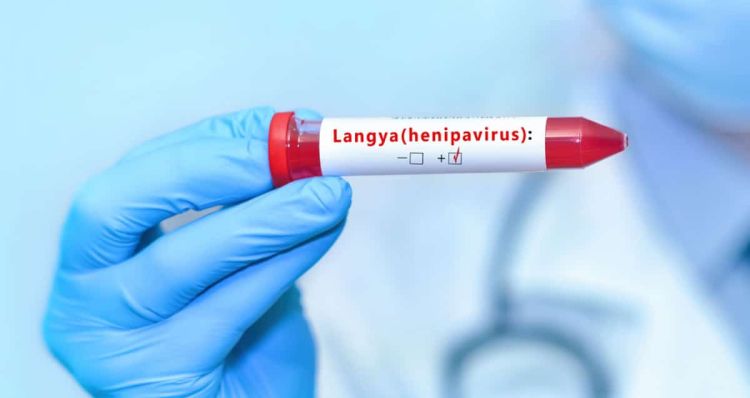 Langya: Συναγερμός για τον νέο ιό από την Κίνα – Δεκάδες τα κρούσματα