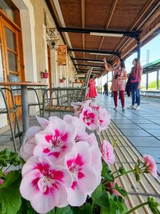 Η Κατερίνη μέσα από το φακό της ομάδας Greek Instagram Events