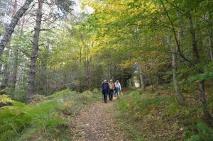 Ημερήσιες εκδρομές με βάση την Κατερίνη - Περίπατος στον Όλυμπο Ημερήσιες εκδρομές με βάση την Κατερίνη – Περίπατος στον Όλυμπο
