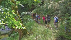 Ημερήσιες εκδρομές με βάση την Κατερίνη - Περίπατος στον Όλυμπο Ημερήσιες εκδρομές με βάση την Κατερίνη – Περίπατος στον Όλυμπο