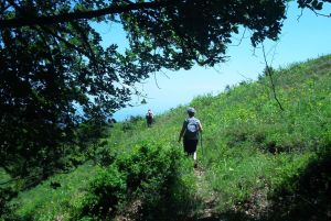 Ημερήσιες εκδρομές με βάση την Κατερίνη - Περίπατος στον Όλυμπο Ημερήσιες εκδρομές με βάση την Κατερίνη – Περίπατος στον Όλυμπο