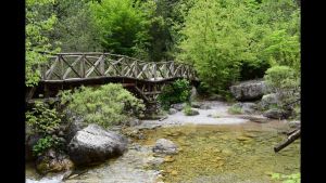 Ημερήσιες εκδρομές με βάση την Κατερίνη - Πριόνια και Μοναστήρι Αγίου Διονυσίου στον Όλυμπο Ημερήσιες εκδρομές με βάση την Κατερίνη – Πριόνια και μονή Διονυσίου στον Όλυμπο