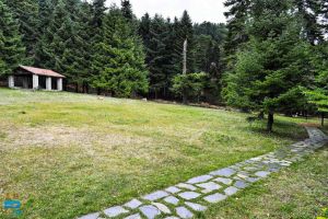 Ημερήσιες εκδρομές με βάση την Κατερίνη: Φαράγγι Ενιπέα - Αγ. Ιωάννης Λιτόχωρο Ημερήσιες εκδρομές με βάση την Κατερίνη: Φαράγγι Ενιπέα – Αγ. Ιωάννης Λιτόχωρο