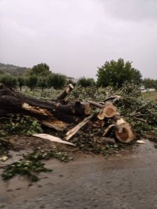 Καλαμπάκα: Βυθίστηκε στο νερό η πόλη μετά την σφοδρή βροχόπτωση