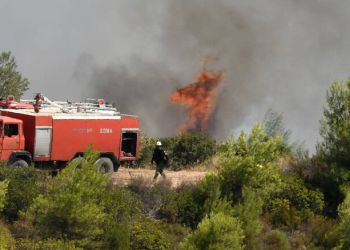 Λόφος Πιερίας: Πυρκαγιά Απείλησε Δασική Έκταση