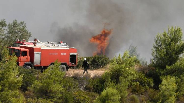 Λόφος Πιερίας: Πυρκαγιά Απείλησε Δασική Έκταση