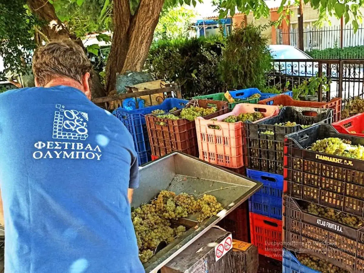 Πιερία: Η χαρούμενη γιορτή του τρύγου ξεκίνησε! Πιερία: Η χαρούμενη γιορτή του τρύγου ξεκίνησε!