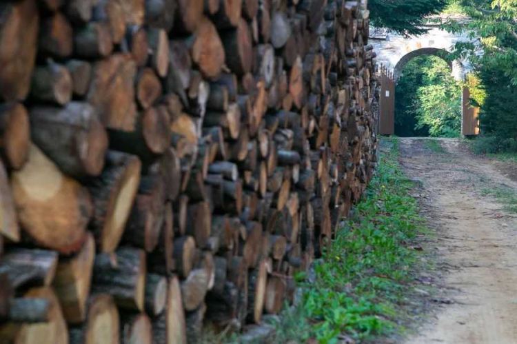 Έρχεται κρατική παρέμβαση στην τιμή των καυσόξυλων και του πέλετ Έρχεται κρατική παρέμβαση στην τιμή των καυσόξυλων και του πέλετ