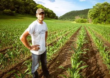 Απαλλαγή από τον φόρο εισοδήματος επί των κερδών από αγροτική επιχειρηματική δραστηριότητα