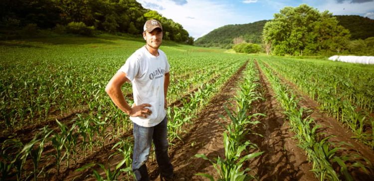 Απαλλαγή από τον φόρο εισοδήματος επί των κερδών από αγροτική επιχειρηματική δραστηριότητα Απαλλαγή από τον φόρο εισοδήματος επί των κερδών από αγροτική επιχειρηματική δραστηριότητα