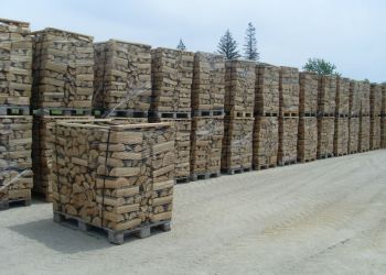 Αυτόματο προσχέδιο