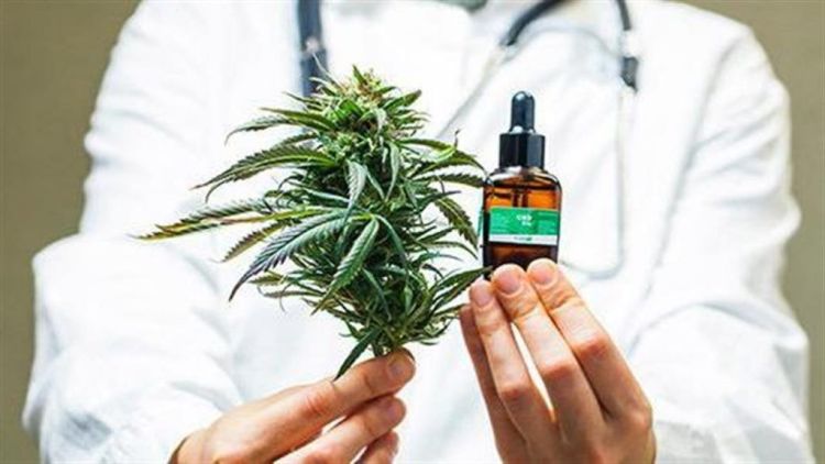 Εγκαινιάζεται η πρώτη ολοκληρωμένη επένδυση φαρμακευτικής κάνναβης στην Ελλάδα
