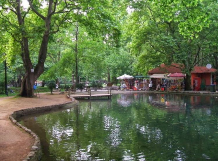 Ημερήσιες εκδρομές με βάση την Κατερίνη – Άλσος Αγ. Νικολάου Νάουσας